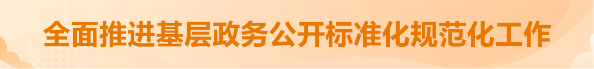 全面推进基层政务公开标准化规范化工作