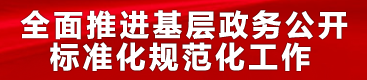 全面推进基层政务公开标准化规范化工作