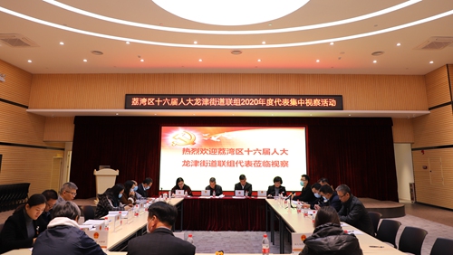 2020-12-25区人大常委会龙津街道工委组织开展2020年度年末视察活动_副本.jpg
