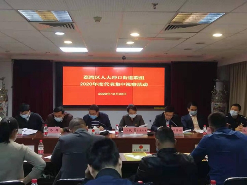 2020-12-28冲口街组织人大代表开展年度集中视察活动1_副本.jpg