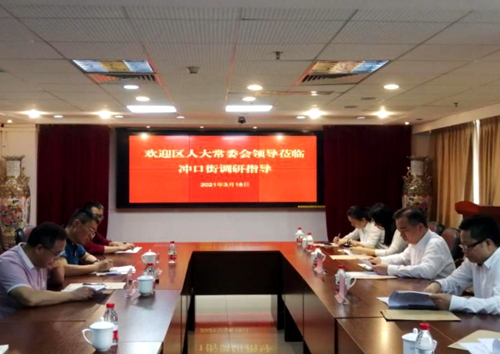 2021-3-22区人大常委会领导到冲口街调研1.jpg