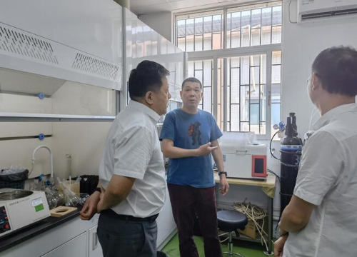 已编辑图片