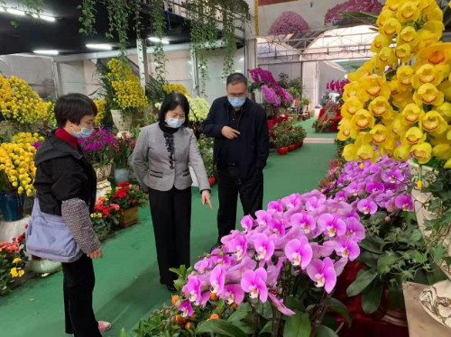 卢常委督导检查鲜花售卖点.png
