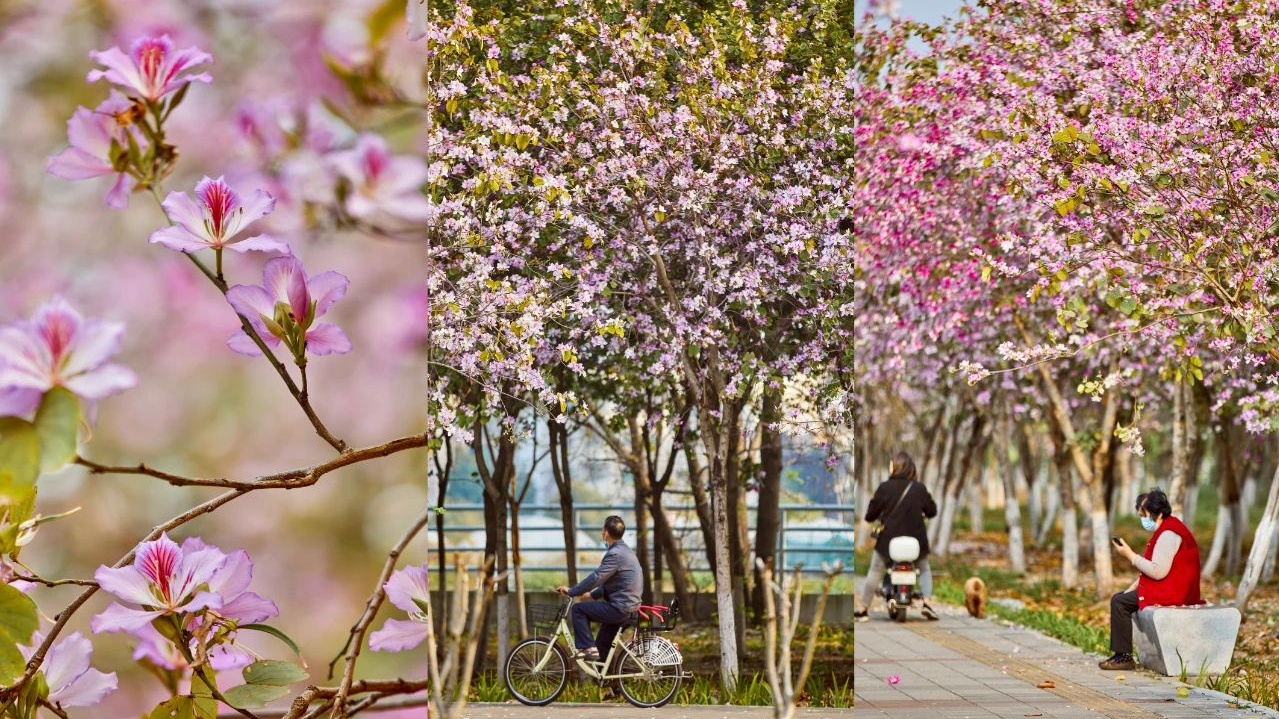 These places in Guangzhou&#39;s Liwan District are worth visiting