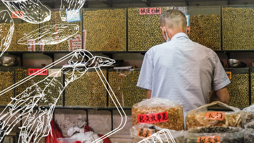 Qingping Traditional Chinese Medicine Market