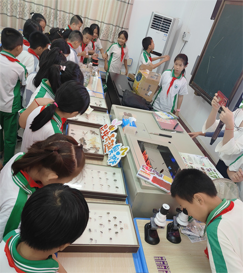 荔湾区图书馆带来了趣味性浓厚的科普课堂2.jpg