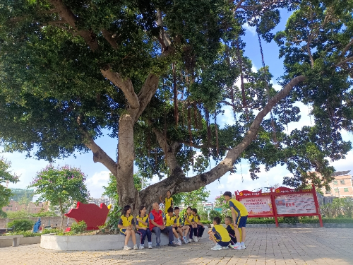 图：凤溪社区参战老兵在榕树下讲述凤溪革命历史.jpg