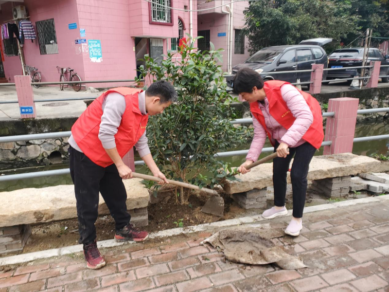 已编辑图片