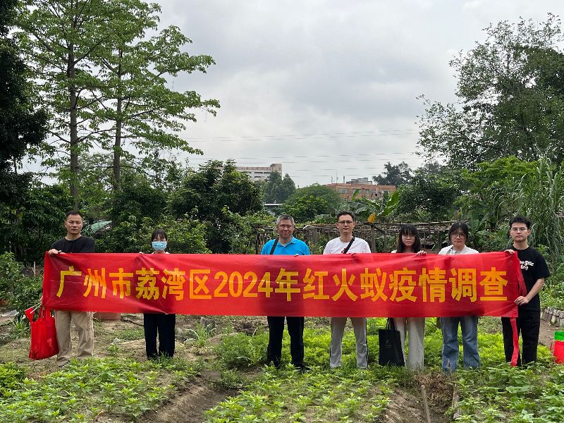 荔湾区红火蚁调查文宣.jpg