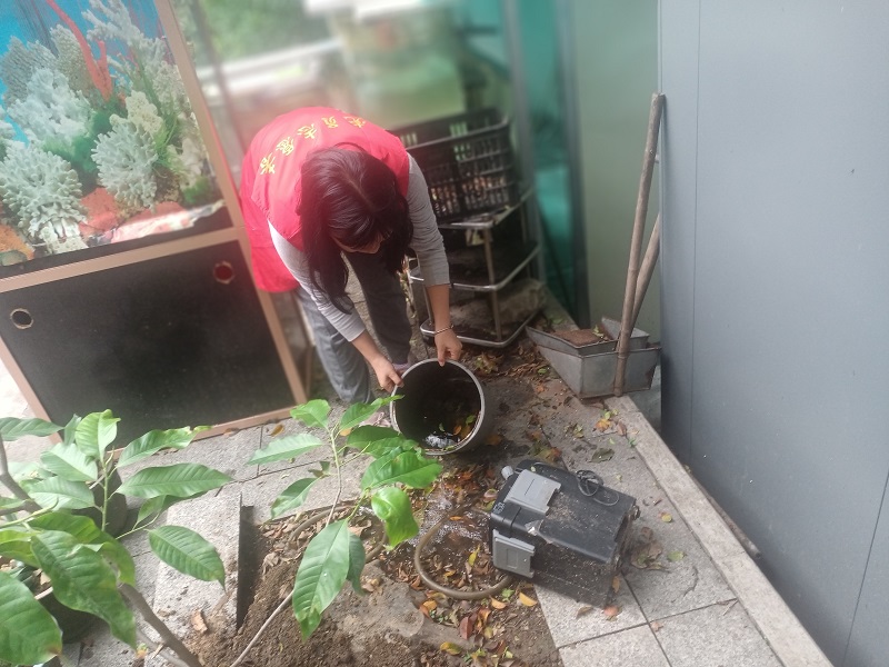 党员志愿者清倒卫生死角积水.jpg
