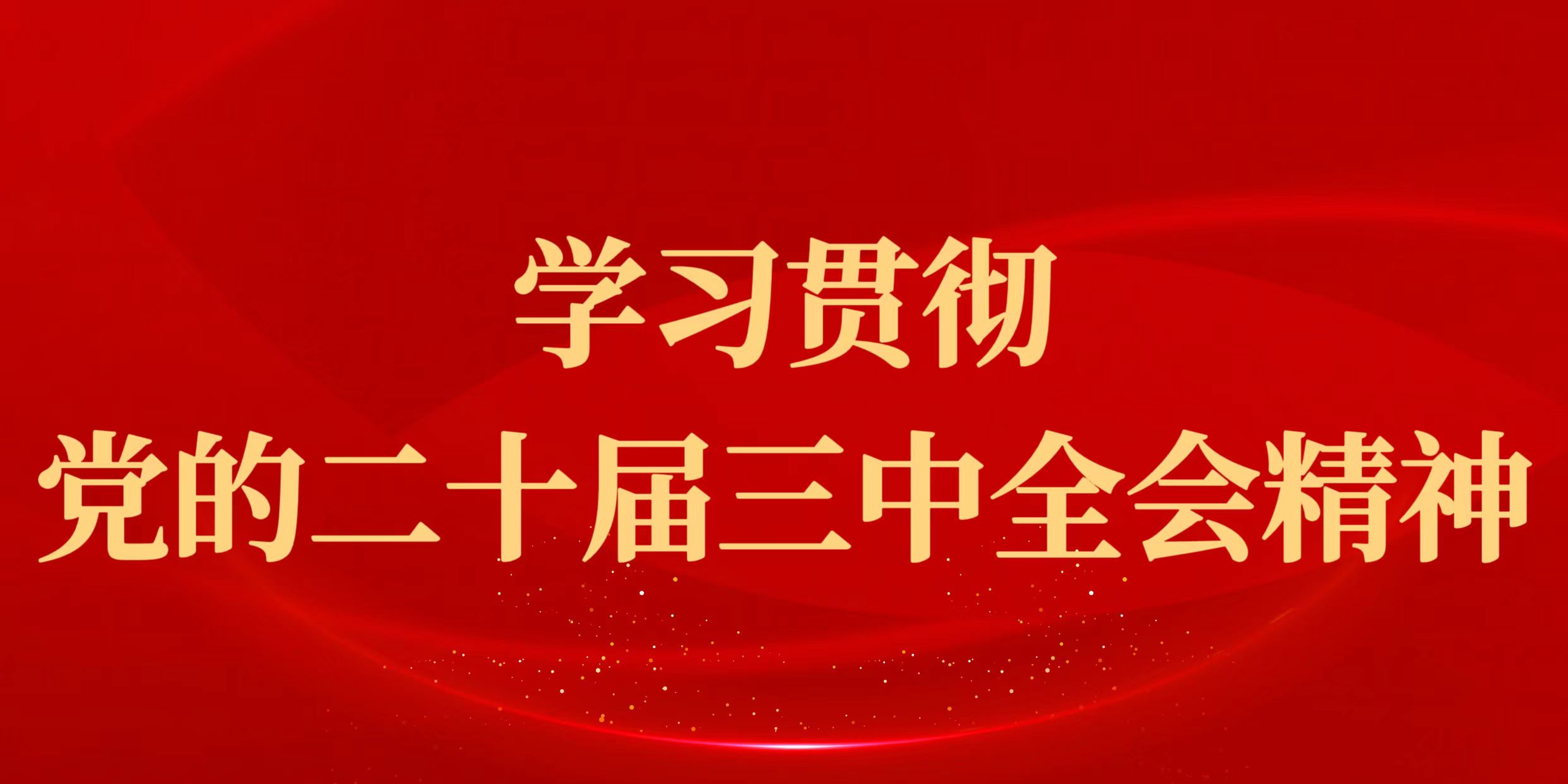 学习贯彻党的二十届三中全会精神