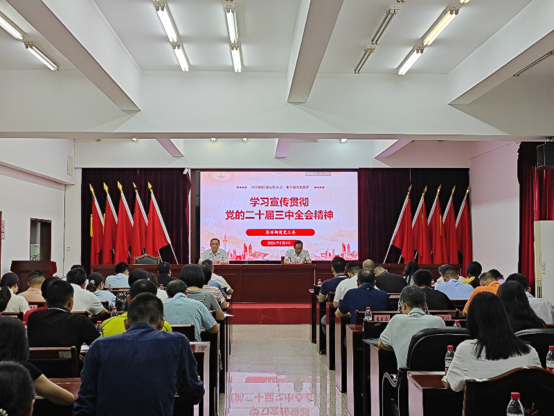 已编辑图片
