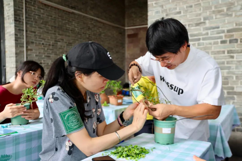 老师指导学员制作盆景.jpg