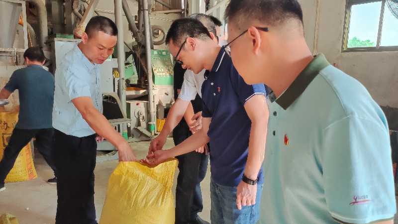图：调研松源镇青塘村丝苗米加工作坊.jpg