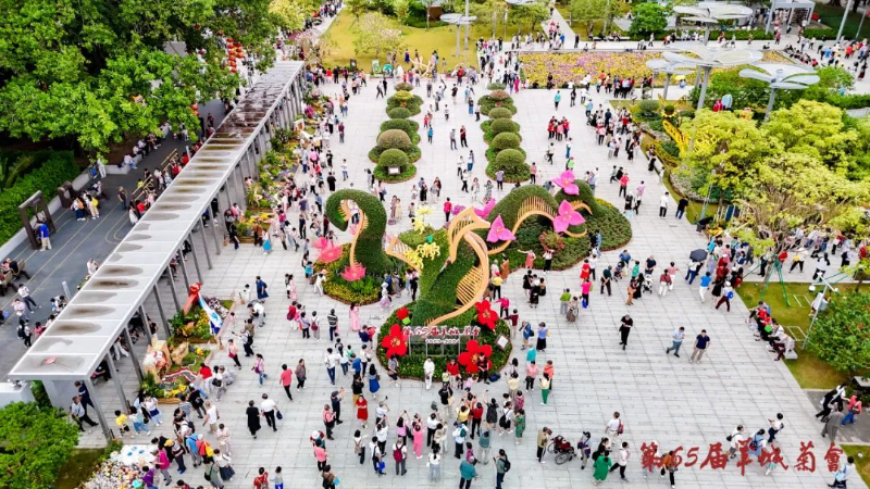 菊会现场2.jpg