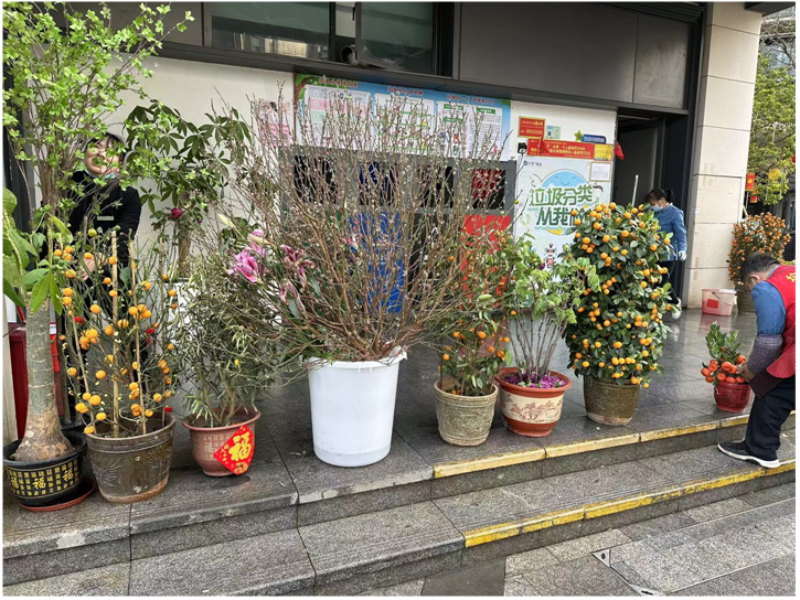 图：年花年桔集中收集分类处理.png