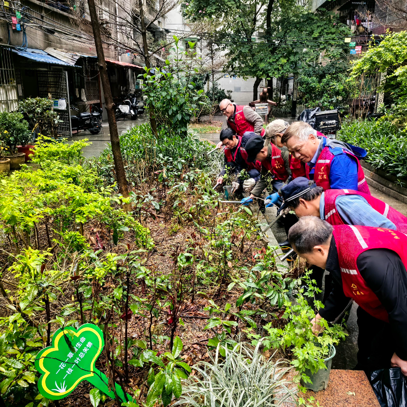 植树活动现场.jpg