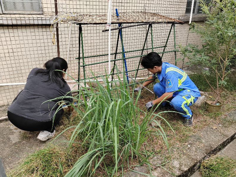 花地街道党工委联动辖区机团单位、重点企业党组织，组织党员、群众代表开展“党旗映绿荫”义务植树行动D.png