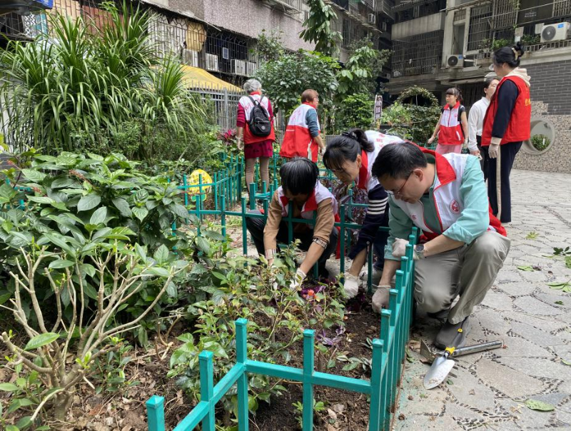 对花池植物进行结构调整和养护.png