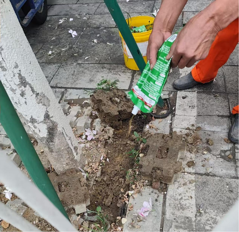 近日，广州市人大代表吴洁清路过荔湾区花蕾路百合园综合市场时，发现33-41号芳华医疗门诊部对出行人道上绿化芒树下有一个较大的蚂蚁窝，考虑到蚂蚁窝可能对行人安全构成潜在威胁，吴代表马上拿出手机打开广州市12345政务服务热线的“随手拍”功能，及时以图配文的形式将现场情况上传反映，希望相关部门安排人员进行处理B.png