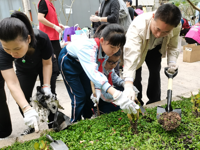 区人社局一级调研员林怀忠与学生协力栽种植物.png