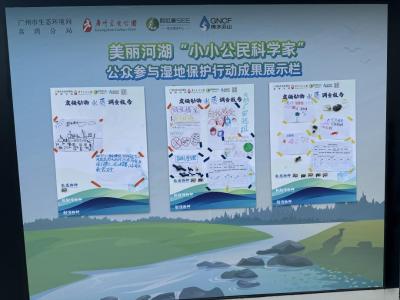 图片13.png