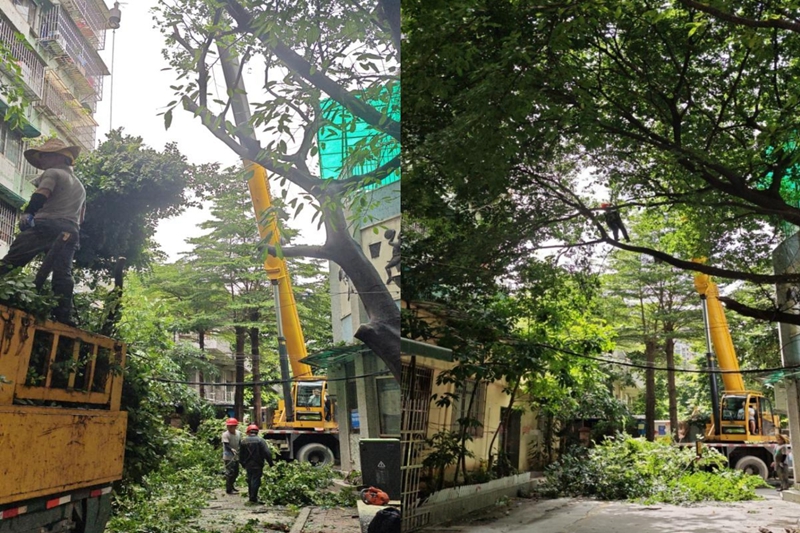 开展应急修建作业.jpg