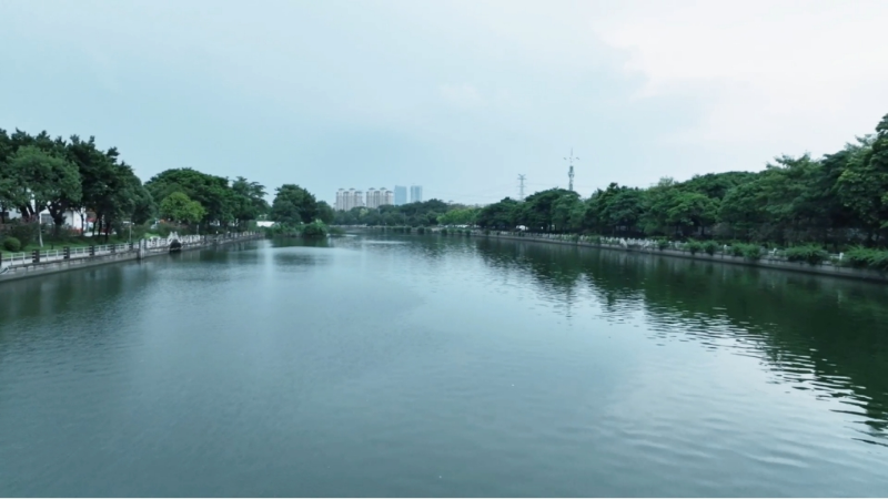 图：治理过后的花地河现状.png