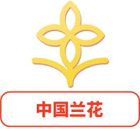 中国兰花