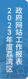 2022年度荔湾区政府网站工作报表
